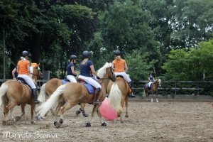 JOHORSE.nl sponsor paardenvoetbal
