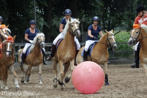 JOHORSE.nl sponsor paardenvoetbal