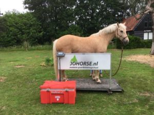 Verschillende paarden op onze weegschalen johorse.nl helpt graag weeg wat je paard weegt.