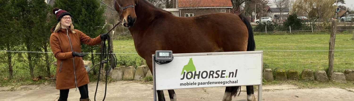 Johorse mobiele paardenweegschaal voor stal en manages en praktijken.